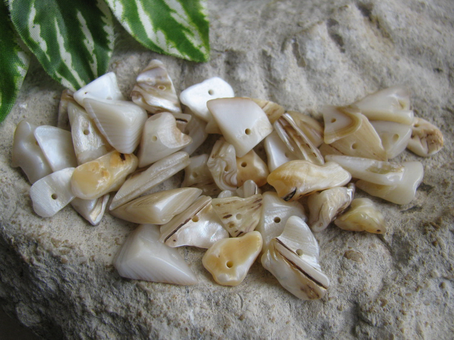 40 Perlmuttsplitter Perlen, weiß braun ca 8-18mm, Schmuck mit Perlen basteln